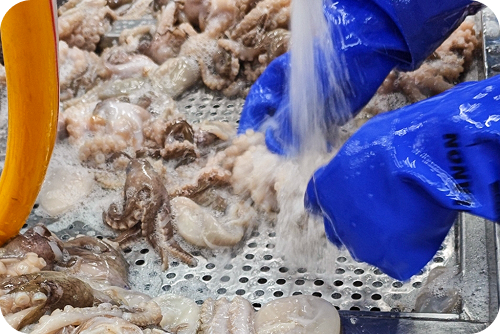 品質チェック／仕入れ