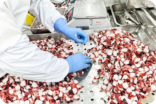 異物検査／梱包